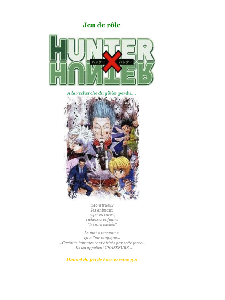 Manuel du jeu de rôle Hunter x Hunter | PDF | Escrime | d20 System