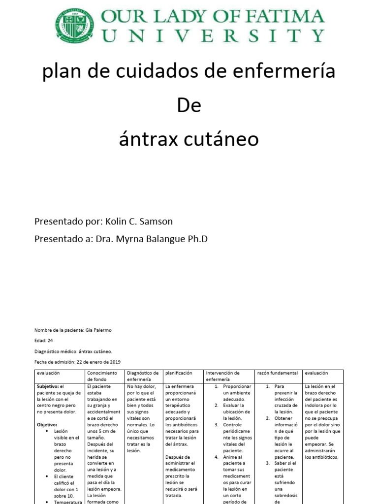 Plan de Cuidados para Ántrax Cutáneo | PDF | Enfermería | Ciencias de ...