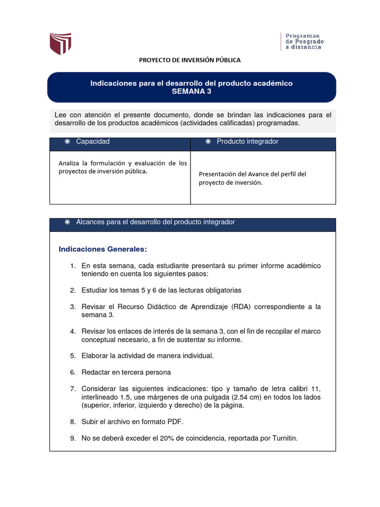 Indicaciones Pip S3 Ipi | PDF | Crecimiento personal y profesional | Arte