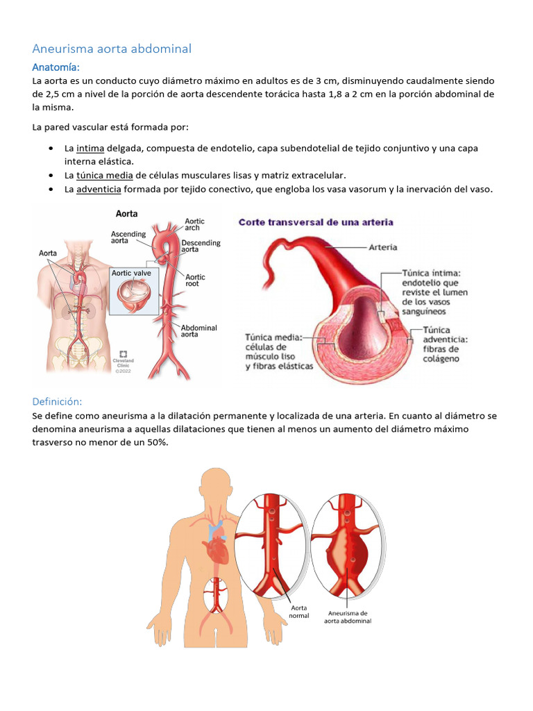 Aneurisma Aorta Abdominal | PDF | Aorta | Medicina CLINICA