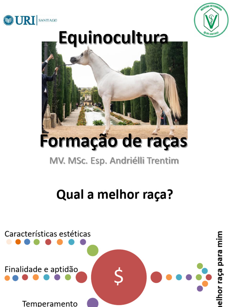 Guia Completo sobre Raças de Cavalos | PDF | Cavalos | Etnobiologia