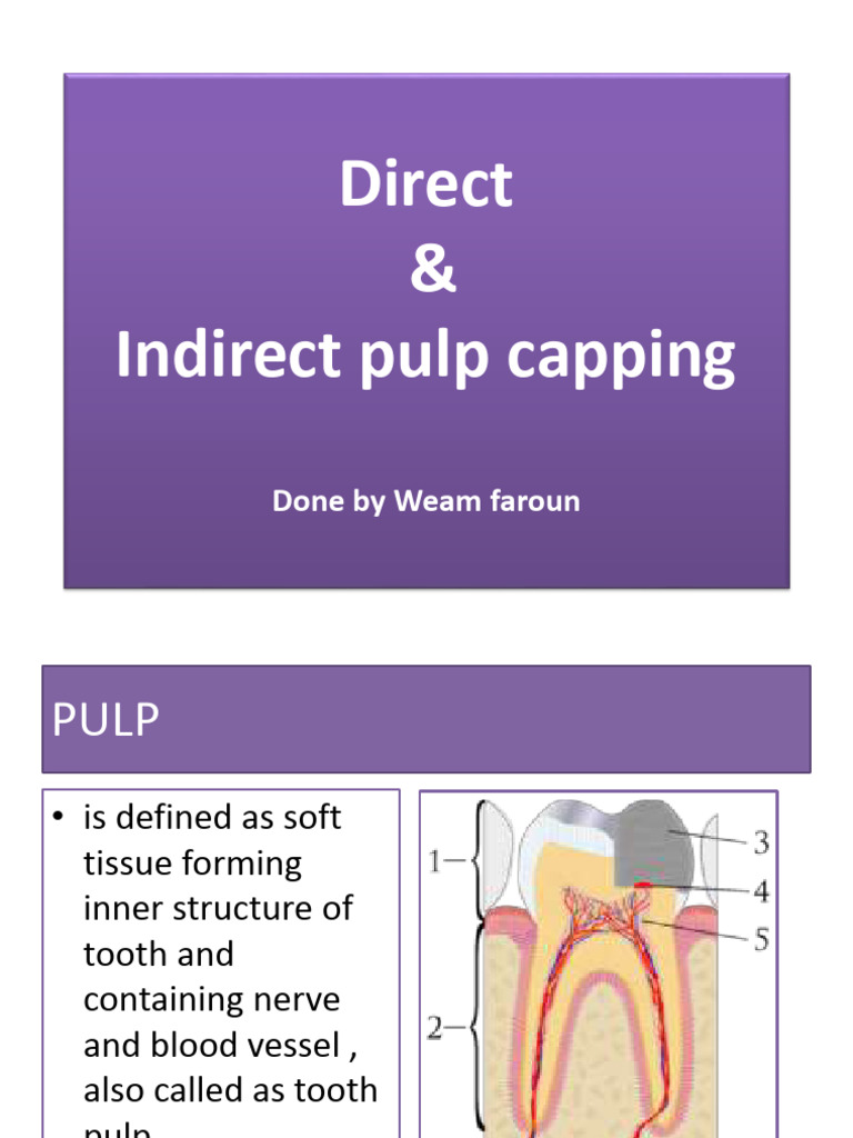 Direct 181121193522 | PDF | Human Tooth | Dental Anatomy