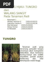 Download WERENG HIJAU- TUNGRO by Eka Retnasari SN74659912 doc pdf