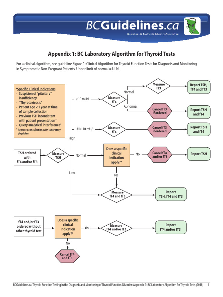 Thyroid Lab Testing Algorithm | Download Free PDF | Thyroid Stimulating ...