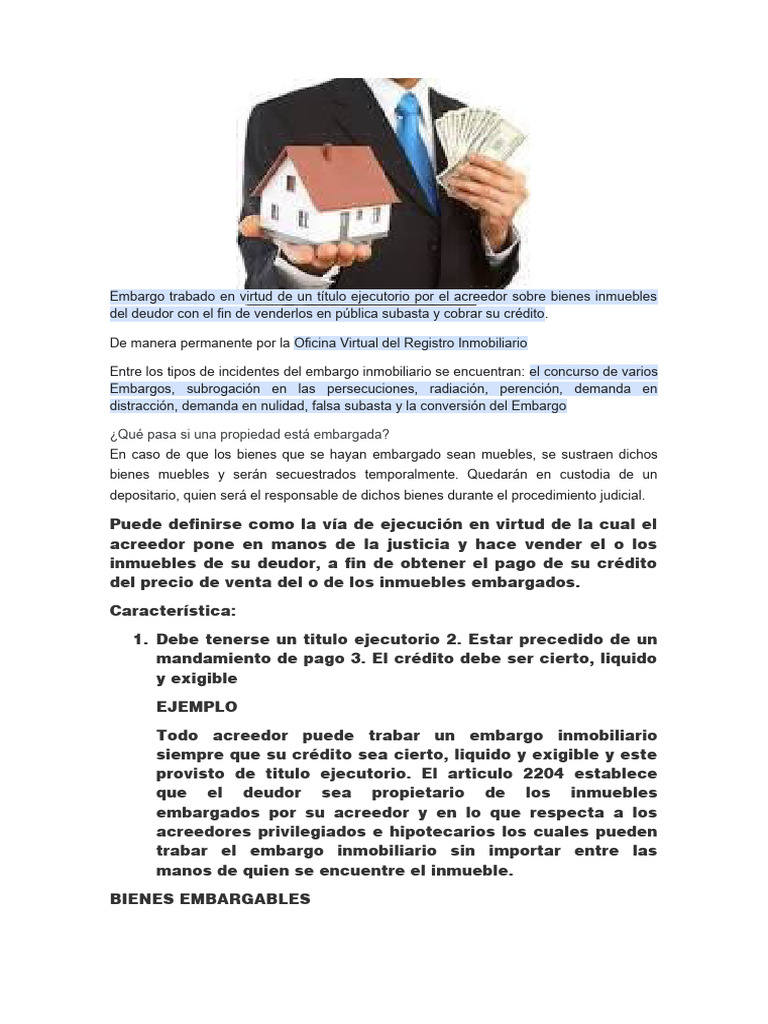 Embargo Inmobiliario: Proceso y Consejos | PDF | Pagos | Bienes raíces