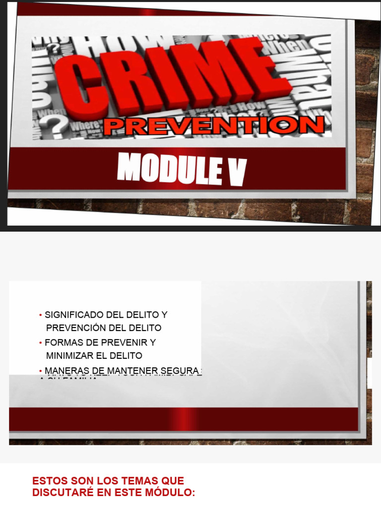 Prevención del Delito y Seguridad Familiar | PDF | Prevención del ...