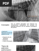 Patterns in Dog Radiography | PDF | Pulmón | Edema