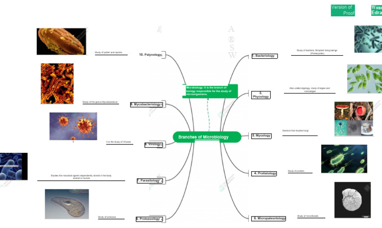 WHAT IS MICROBIOLOGY BRANCHES USES AND KEY FACTS intelligence overview