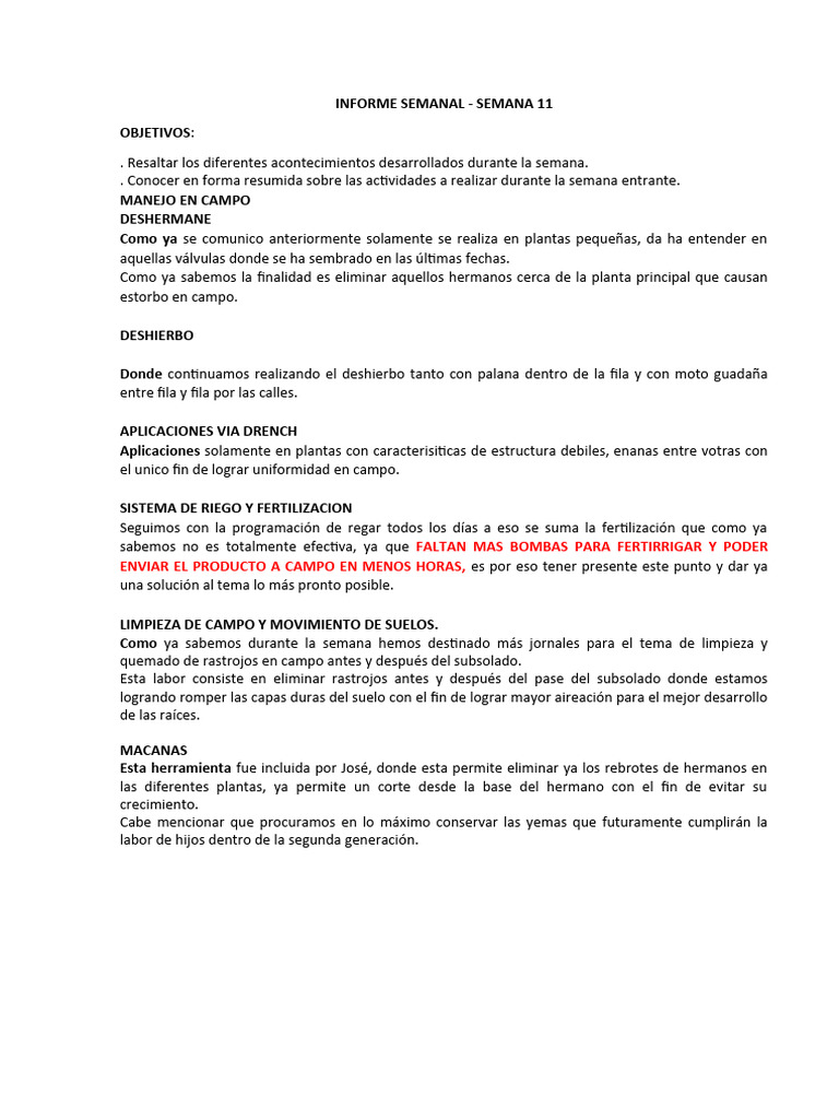 Informe Inicial 11 | PDF