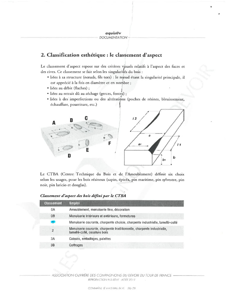 Différentes Classifications Des Bois | PDF