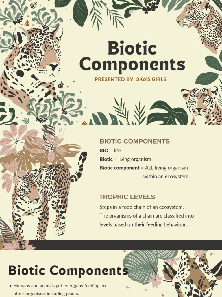 Bacteria as Decomposers in Ecosystems | PDF | Nutrition | Diet & Nutrition