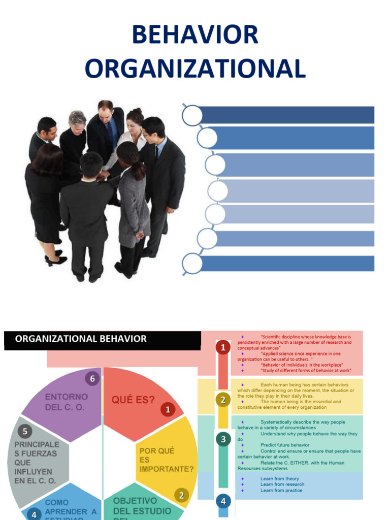 Understanding Organizational Behavior | PDF | Organizational Behavior ...