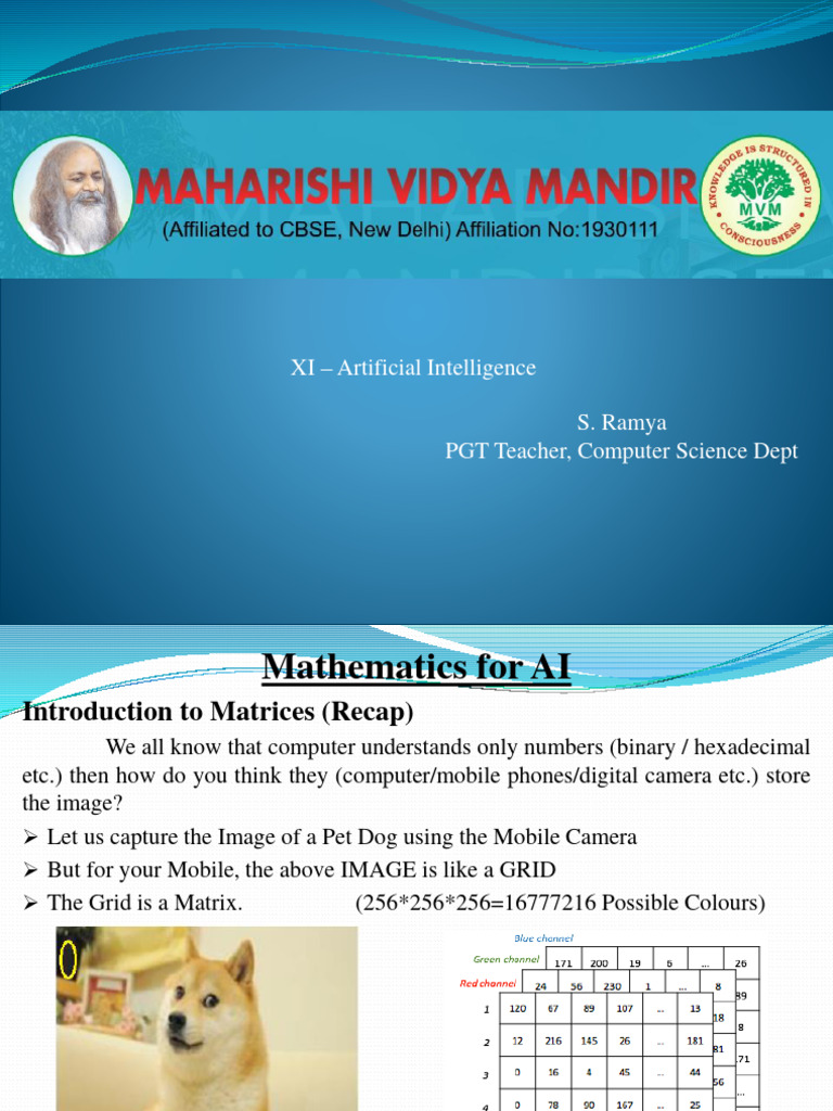 Understanding Matrices in AI | PDF | Matrix (Mathematics) | Databases