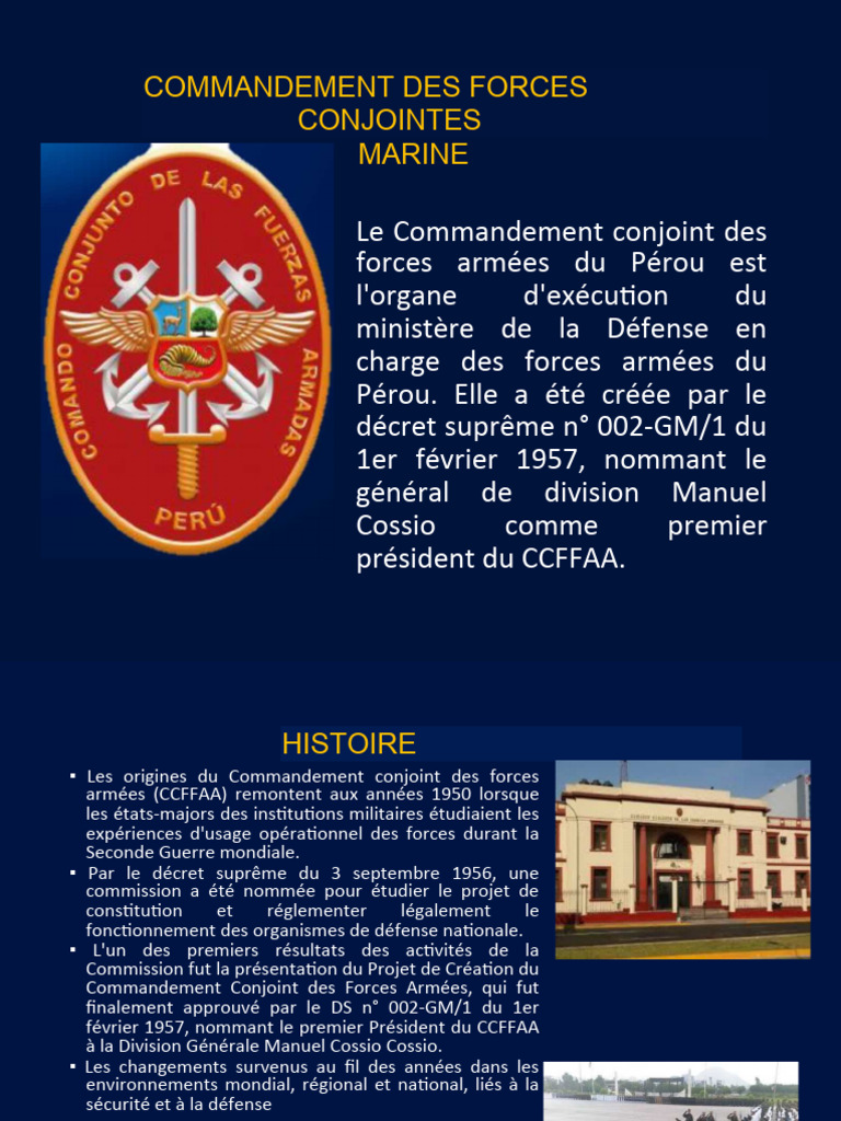 Préparation de la Force Interarmée du Pérou | PDF | Pérou | Nations unies