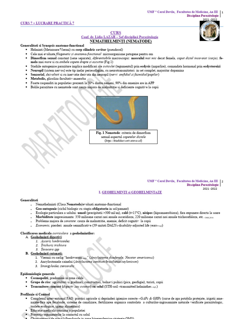 Curs 7 | PDF