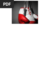 Boxing PDF