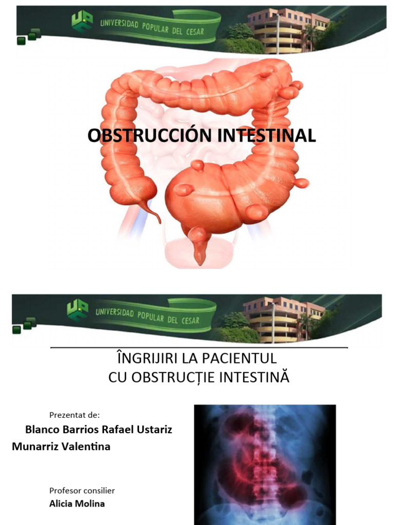 ÎNGRIJIREA ÎN OBSTRUCȚIA INTESTINĂ Prezentare | PDF