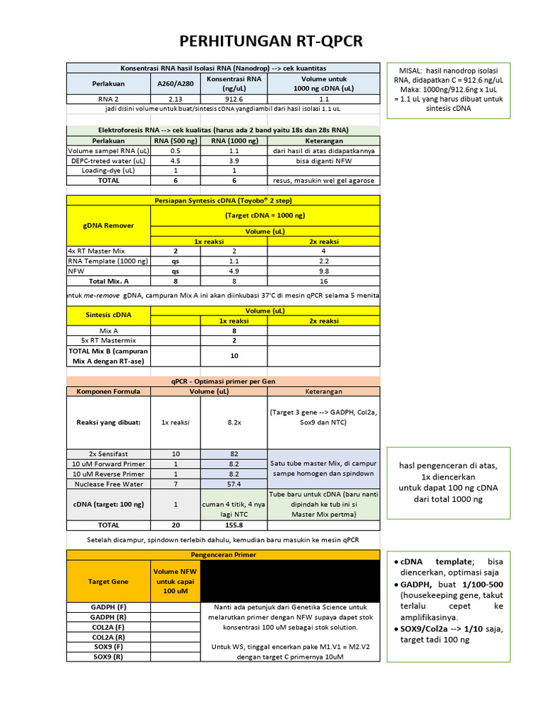 Perhitungan QPCR | PDF