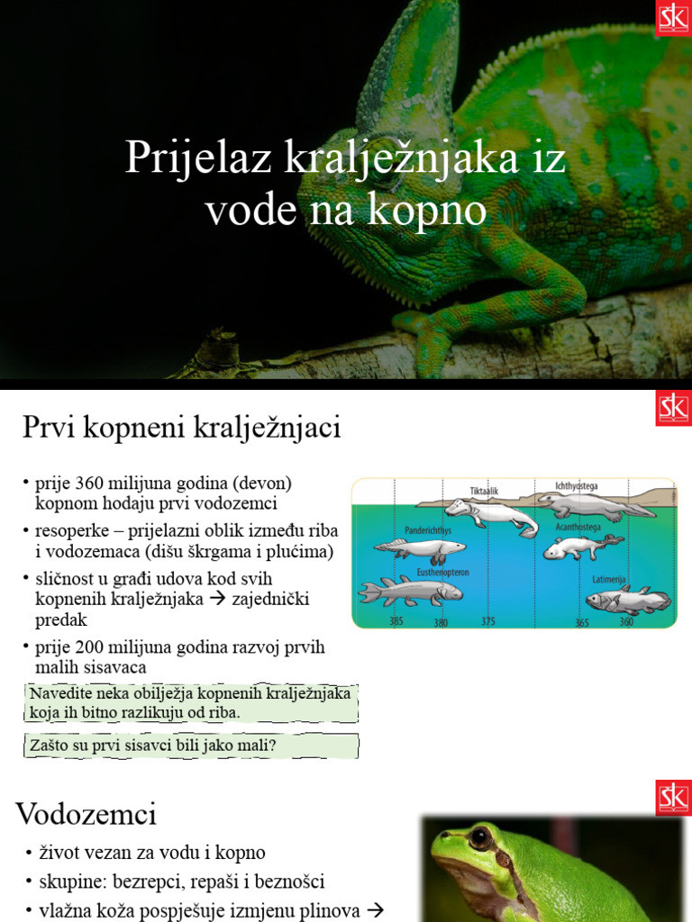 Prijelaz Kralježnjaka Iz Vode Na Kopno | PDF