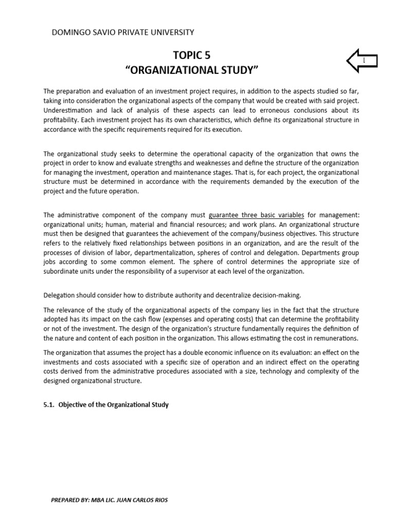 Investment Project Organization Guide | PDF | Organizational Structure ...