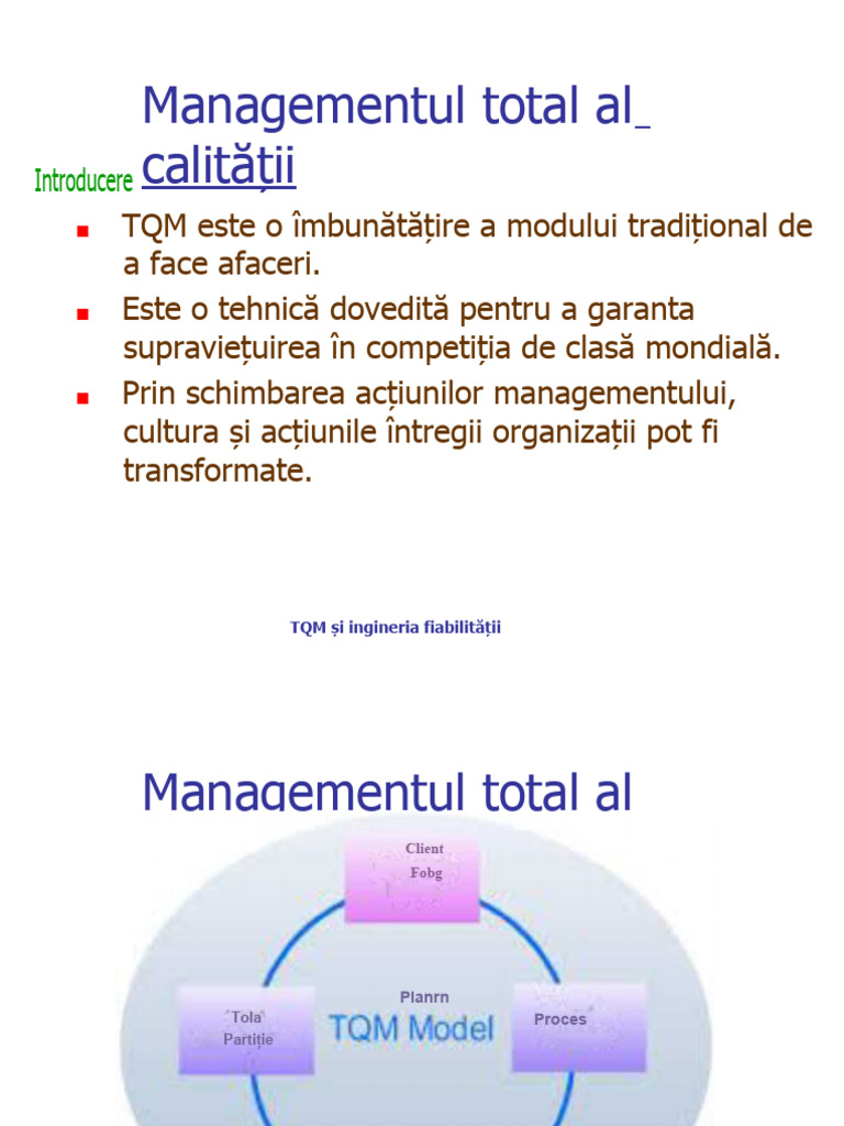 Managementul Calității Totale Capitolul 1 | PDF