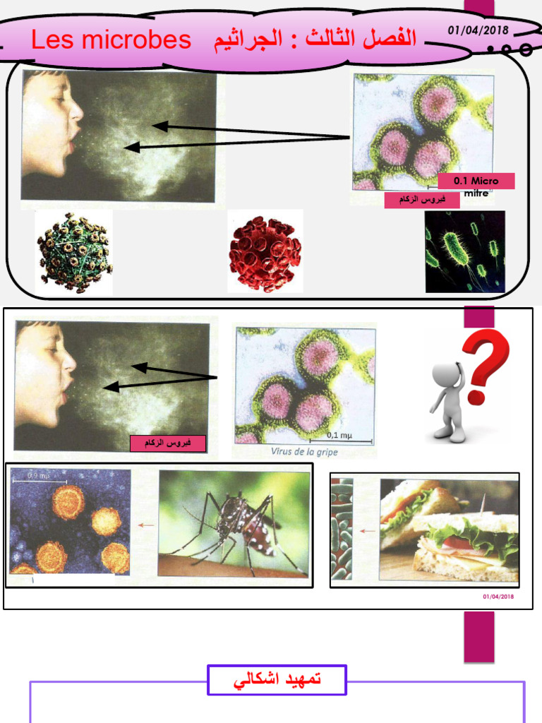 Microbes Ppt Pptx Pdf