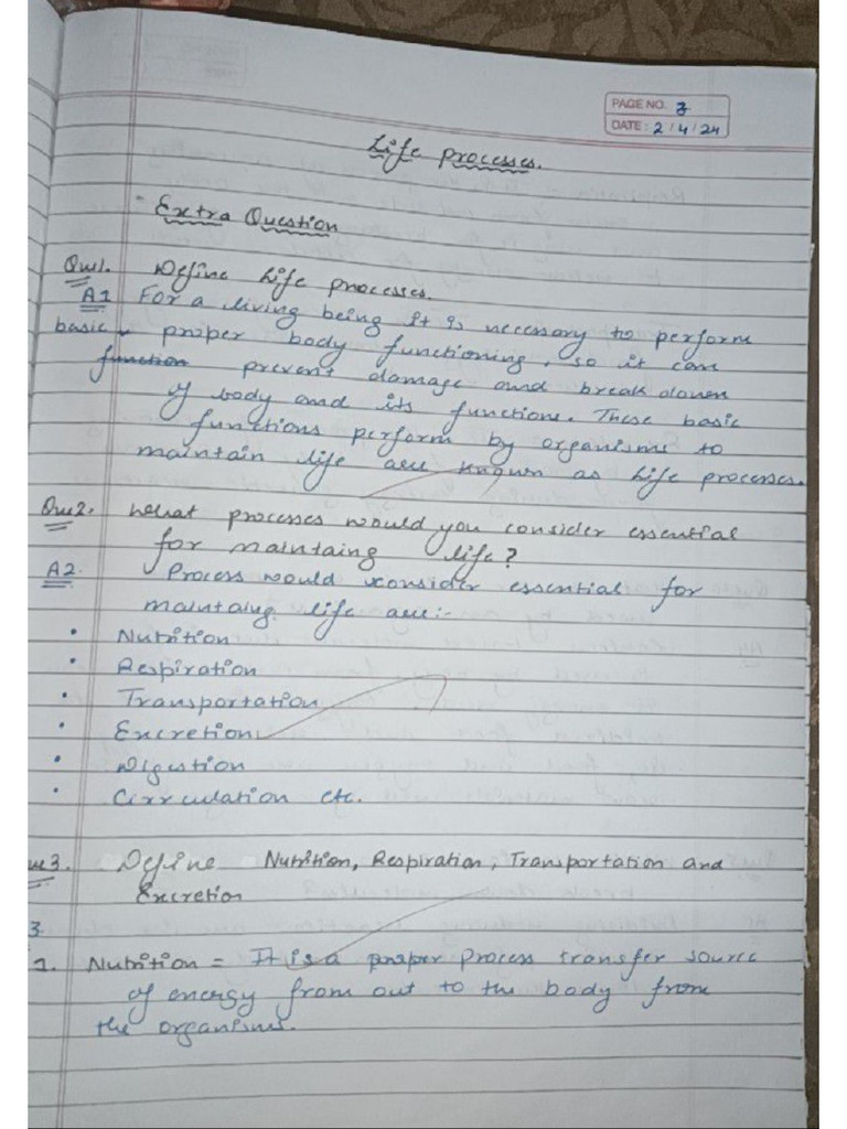CH Life Processes | PDF
