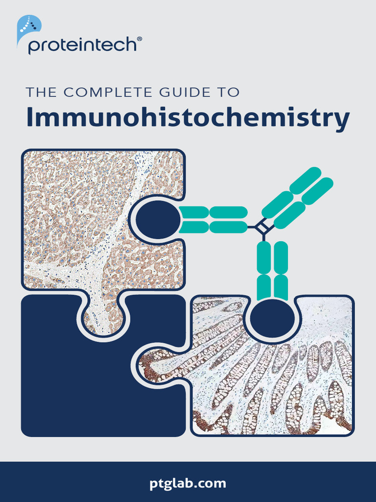 Immunohistochemistry Protocol Guide | PDF | Immunohistochemistry ...