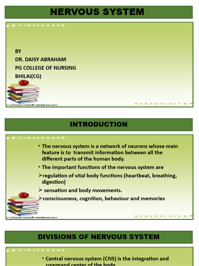 Nervous System Overview for Nursing Students | PDF | Neuron | Nervous ...
