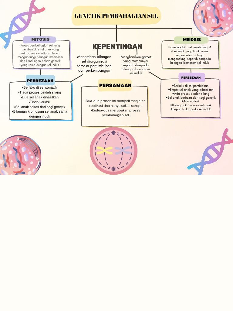 Colorful Doodle Concept Map Graph Pdf 2 Pdf
