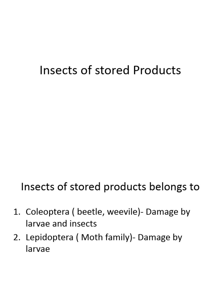 Identification of Stored Product Insects | PDF | Beetle | Moth