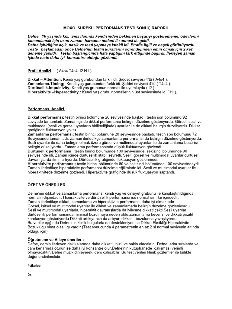 Rapor Örnek Son | PDF