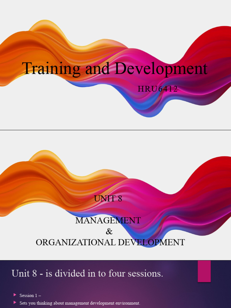 Management Development Strategies Guide | PDF | Organization ...