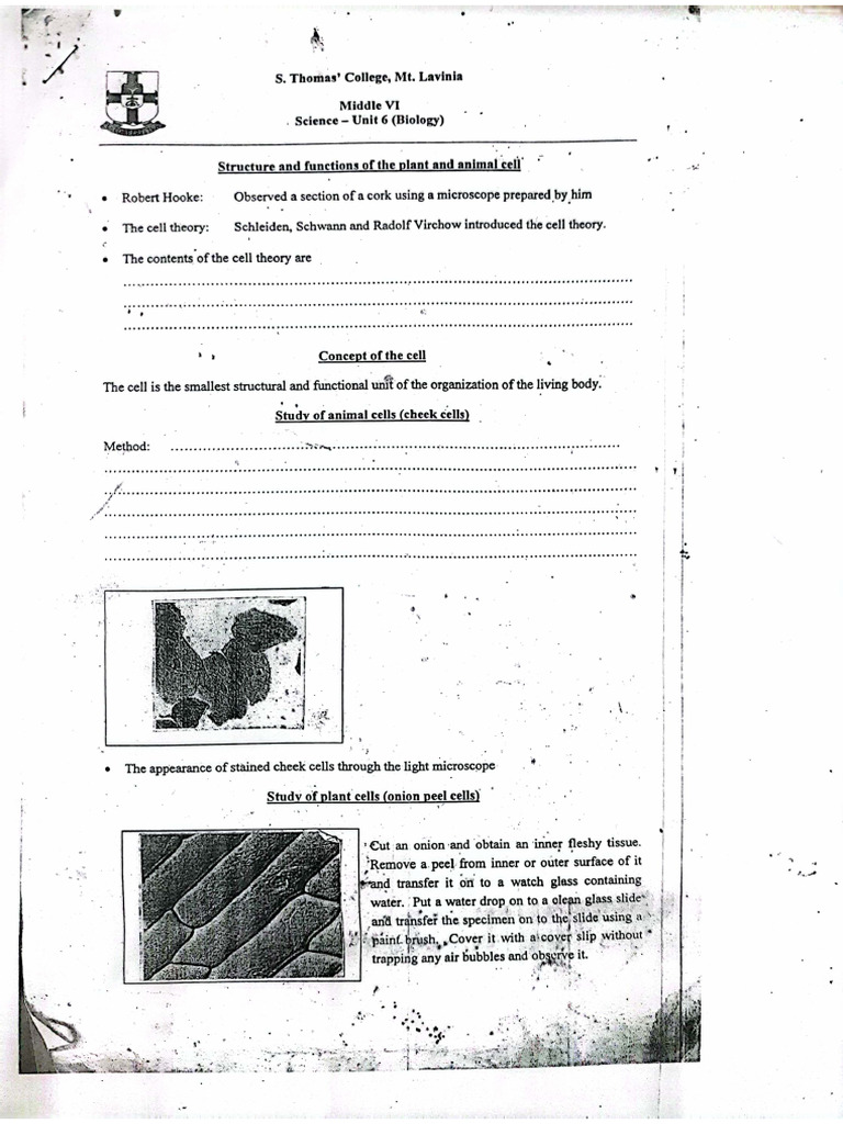 Structure and Functions of The Cell | PDF