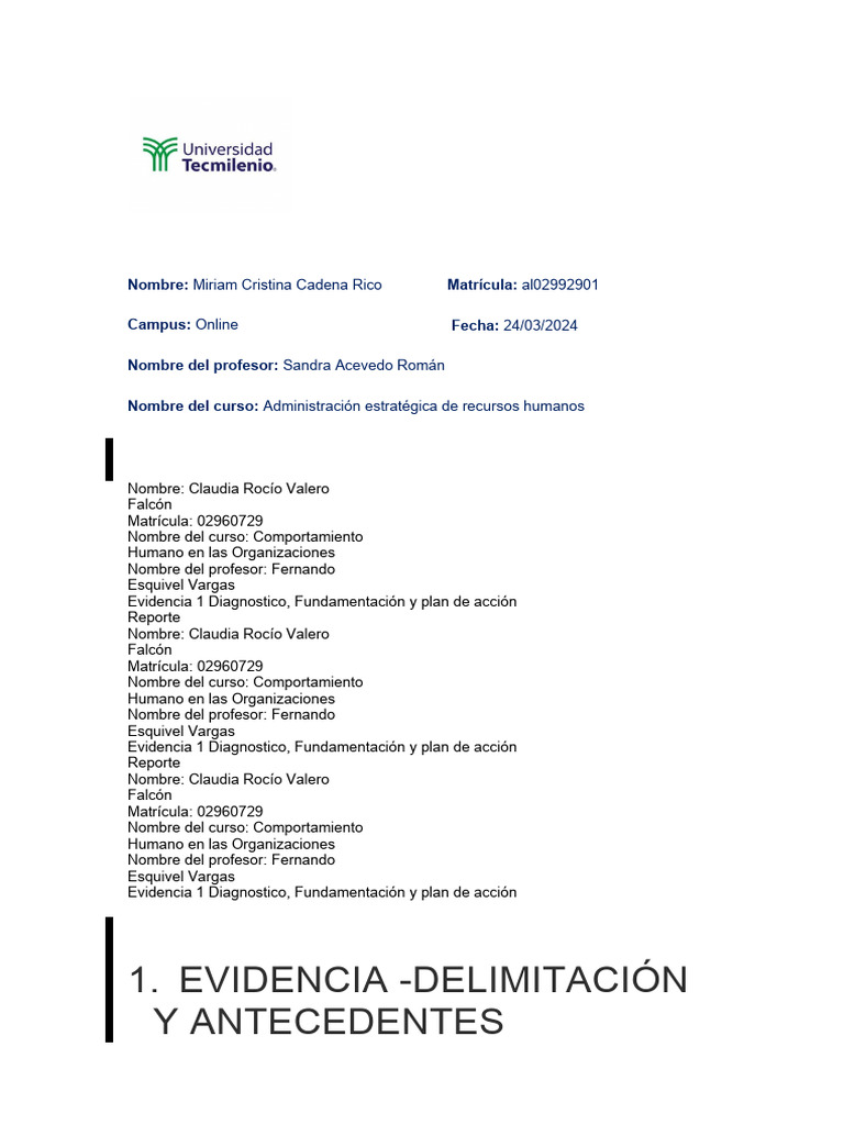 Evidencia 1 Plan Estratégico De Recursos Humanos Pdf Business
