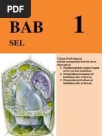 Download Bab 1 Sel Esis by Ramadhan Adityo Kuncoro SN74676715 doc pdf