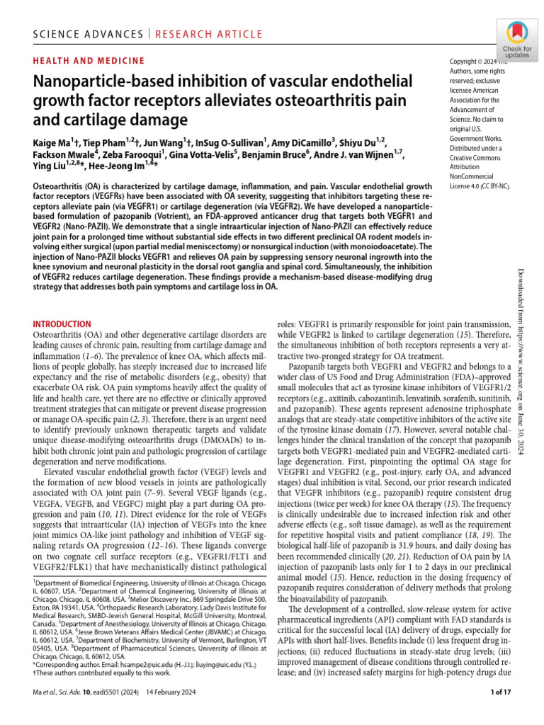 Nanoparticle-Based Inhibition of Vascular Endothelial Growth Factor ...