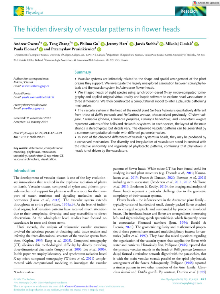 New Phytologist - 2024 - Owens - The Hidden Diversity of Vascular ...
