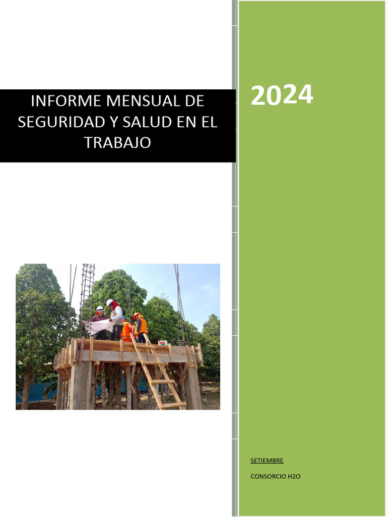 Informe Mensual de Seguridad Laboral 2024 | PDF | Valores | Riesgo