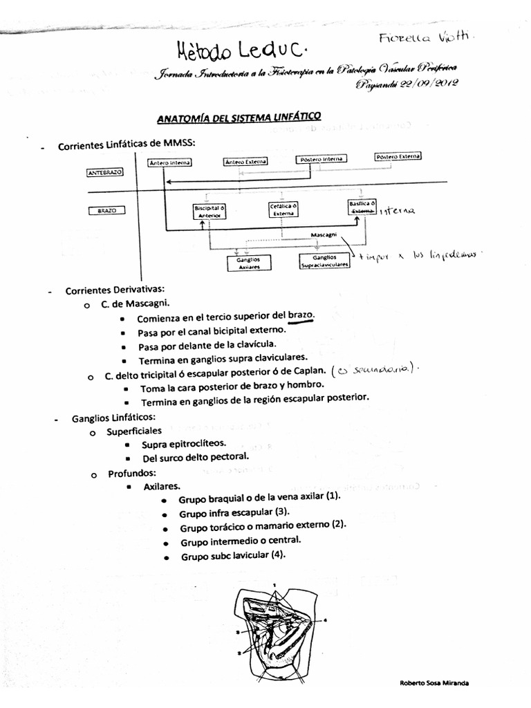 Método Leduc (Linfático) | PDF