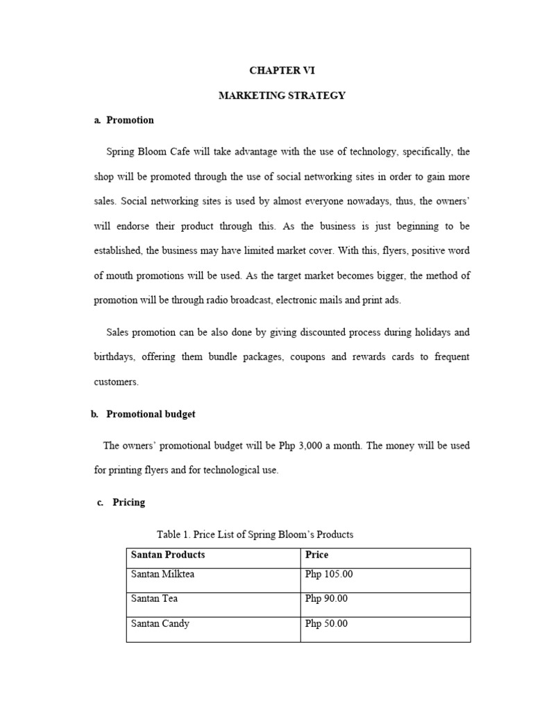 Chapter Vi Marketing Strategy | PDF | Pricing | Retail