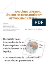 Flujo Sanguineo Cerebral