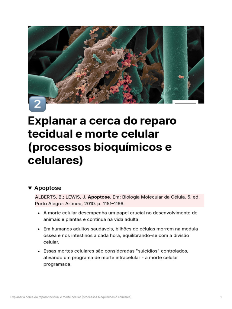 Apoptose e Reparo Tecidual: Processos Celulares | PDF | Apoptose | BCL 2
