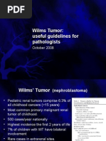 Download Wilms Tumor overview by Jenn  SN7468434 doc pdf