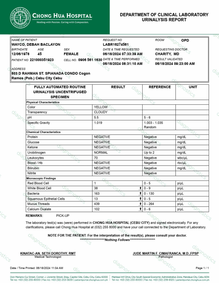 Urinalysis 2024 06 18T00 - 00 - 00 | PDF | Biology | Tissue (Biology)