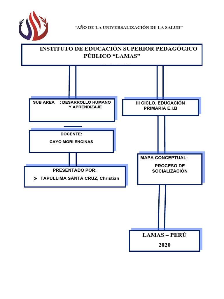 Mapa Conceptual Desarrollo Humano. Proc. Soc. | PDF | Socialización