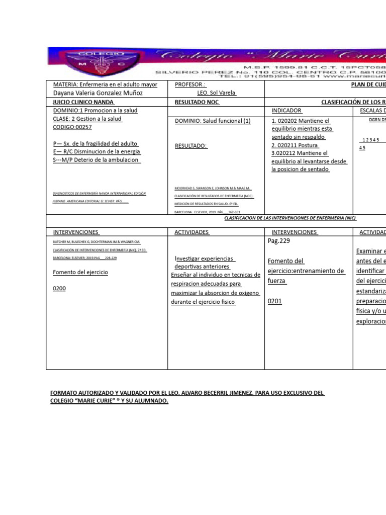 Plan de Cuidado en Enfermería Geriátrica | PDF | Cuidado de la salud