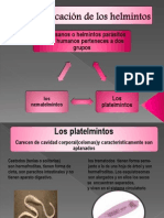 Clasificación de Los Helmintos