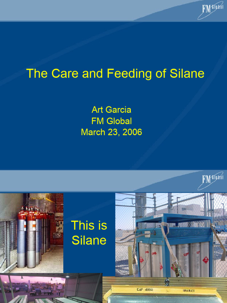 Silane Safety and Handling Guidelines | PDF | Valve | Fire Sprinkler System