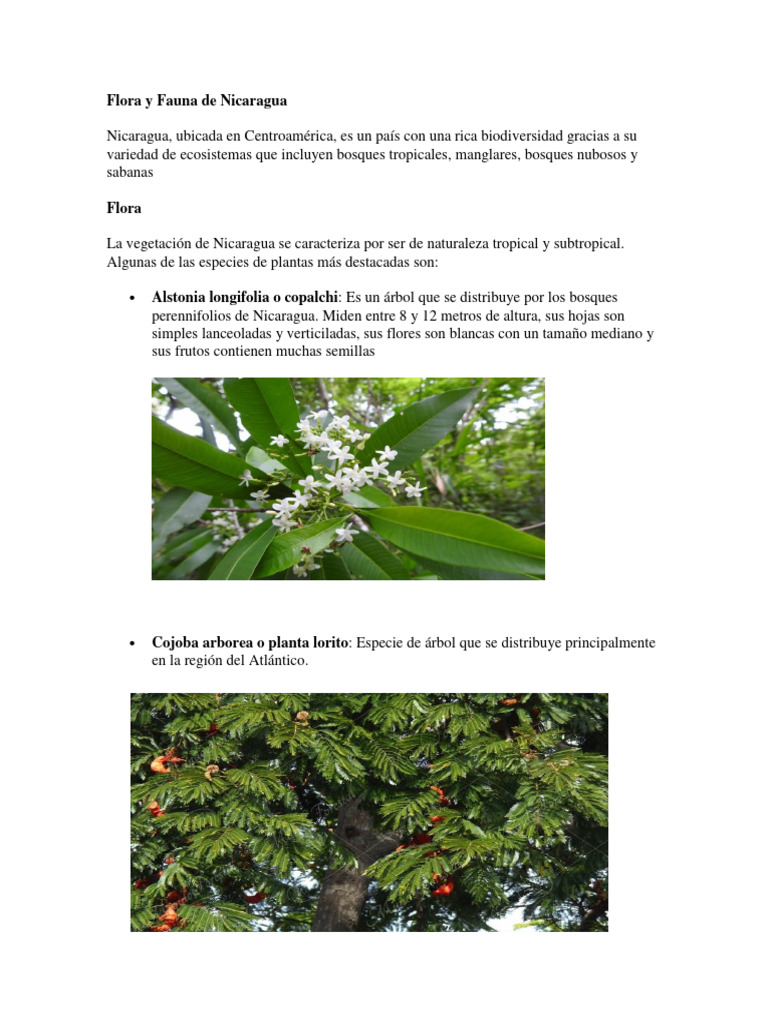 Flora y Fauna de Nicaragua | PDF